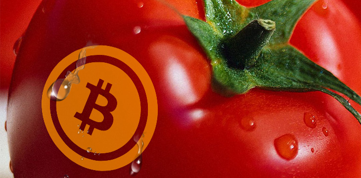 ‘Cryptomatoes’ wants to recycle crypto mining heat to grow crops