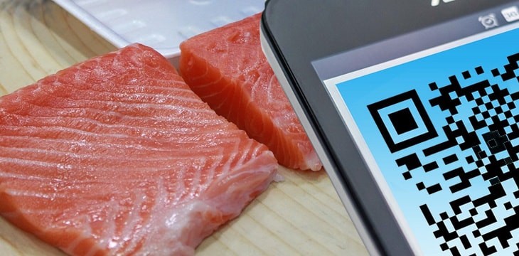 Mitsubishi subsidiary is putting salmon on blockchain