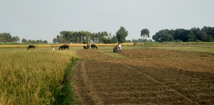 Indian farmer’s company integrates blockchain