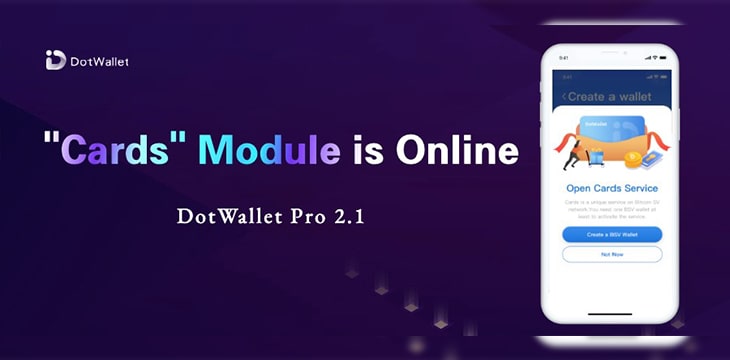 DotWallet Pro 2.1