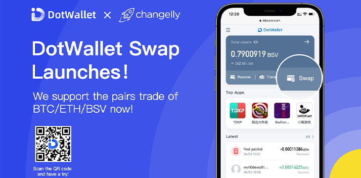 Another Huge Update! DotWallet Adds Multi-currency Swap Feature!