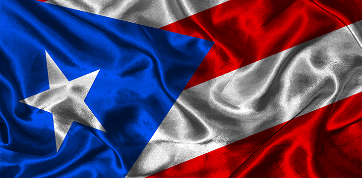 Puerto Rico Flag