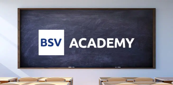 BSV Academy