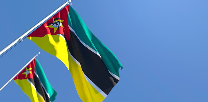 national flag of Mozambique