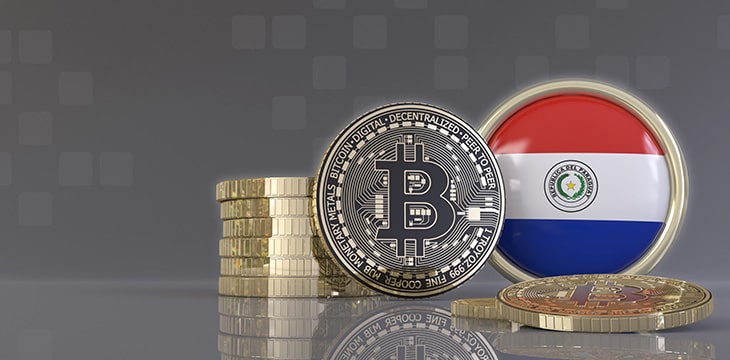 metallic Bitcoins in front of Paraguayan flag