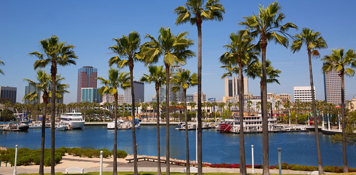 Long Beach California skyline from palm trees of port