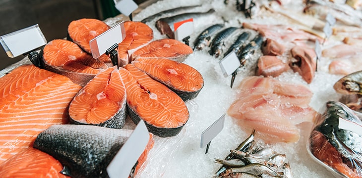 Close up view of arranged raw seafood