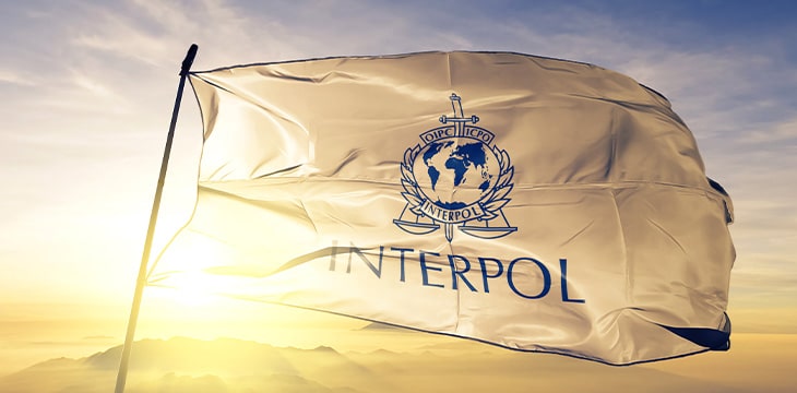 Interpol sets up specialized unit to crack down on illegal digital asset activities