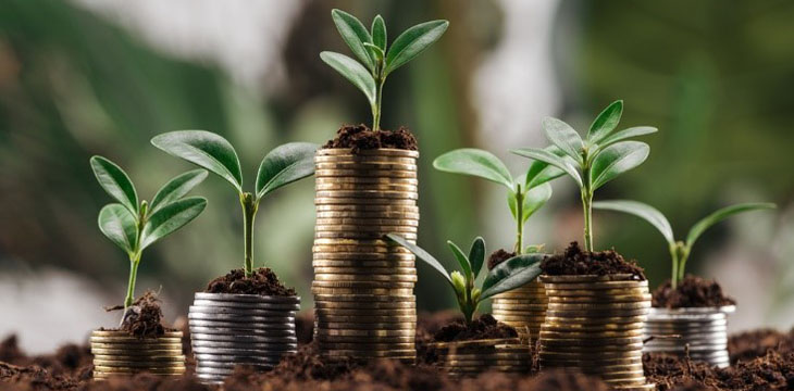 leaves growing on stack of coins