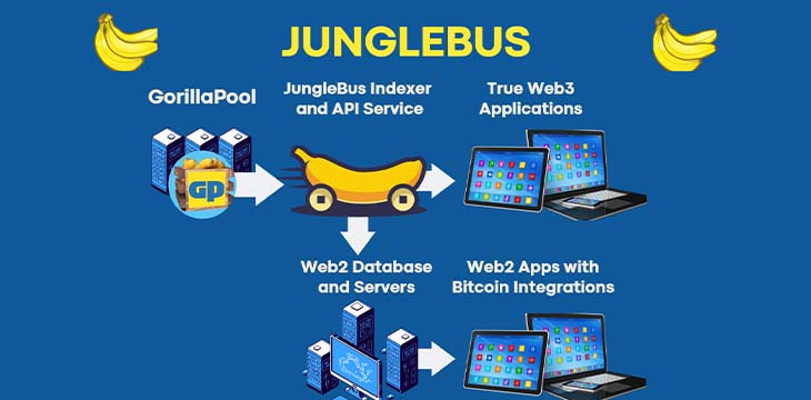 How JungleBus indexes Bitcoin’s ‘Internet of Value’: Workshop