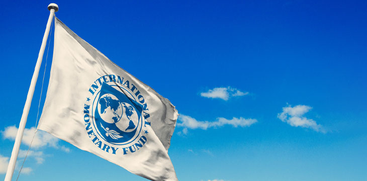 International Monetary Fund flag waving