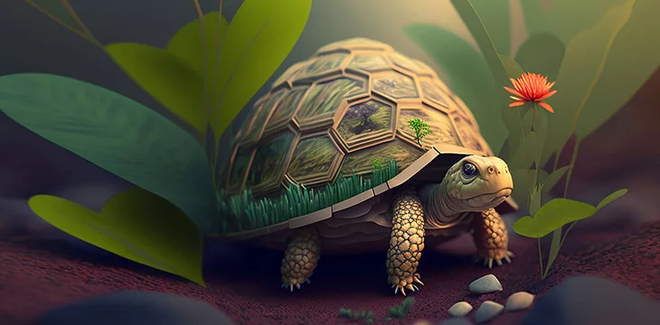 tortoise in the grass