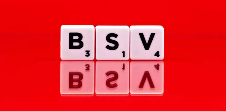 White plastic block cubes with word BSV on red background