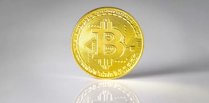 Bitcoin session with black and white background and wooden base with portable background