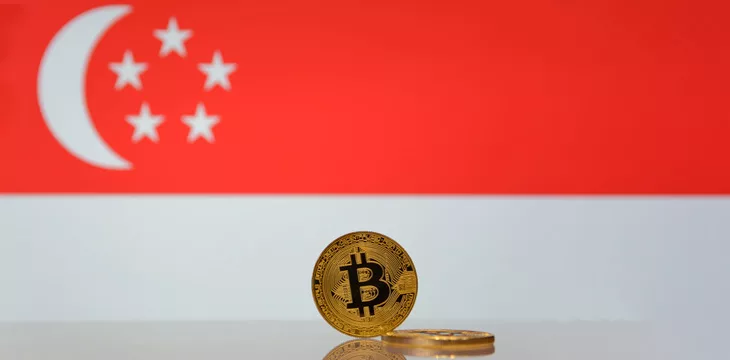 Singapore High Court deems digital assets as trustable property