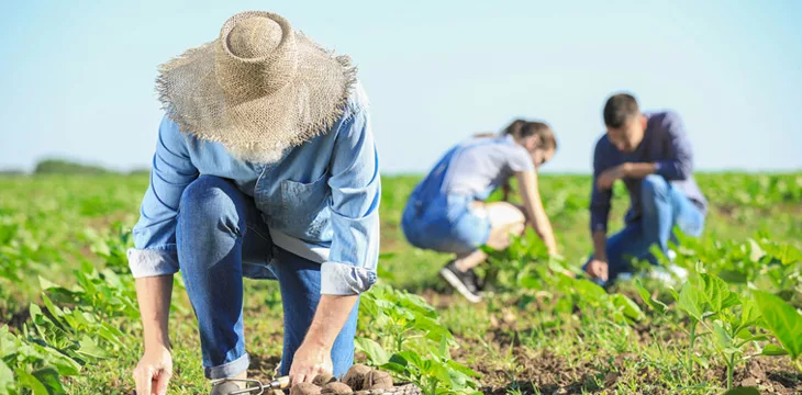 Blockchain streamlines agriculture in a Big Data world—new ebook explains how