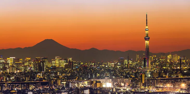 Aerial view of Tokyo city and mountain fuji