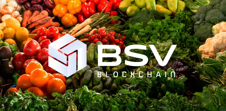 BSV logo with food in the background