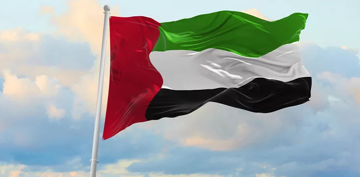 United Arab Emirates flag