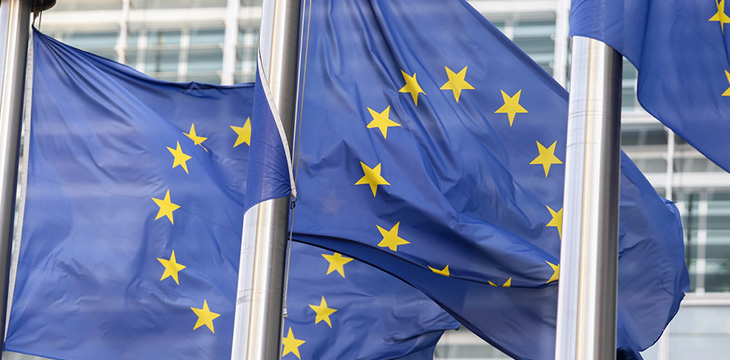 EU Flags near The European Parliament