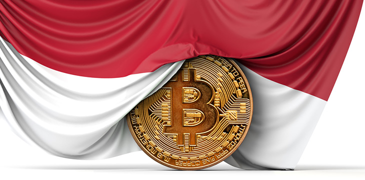 Indonesia flag draped over a coin